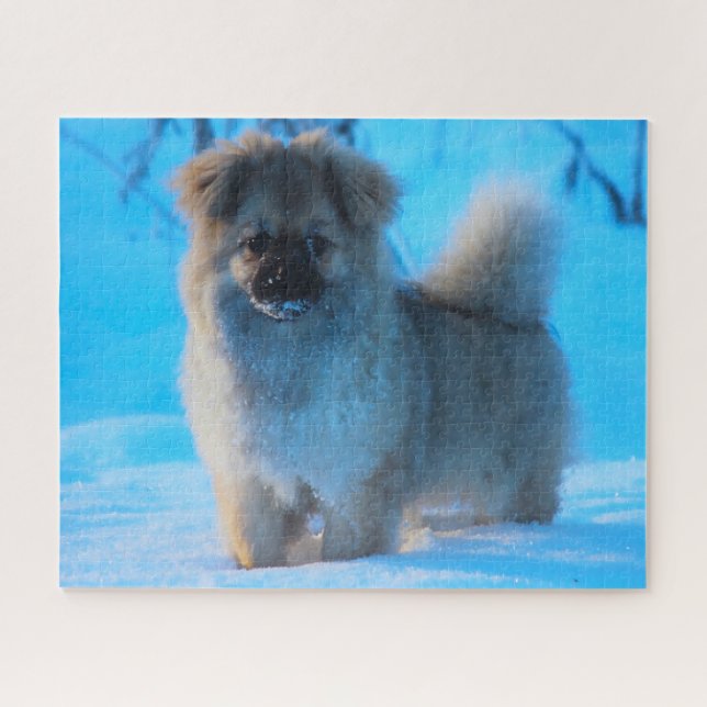 Tibetan Spaniel Dogs Jigsaws Jigsaw Puzzle (Horizontal)