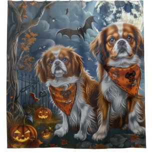 Tibetan Spaniel Halloween Spooky