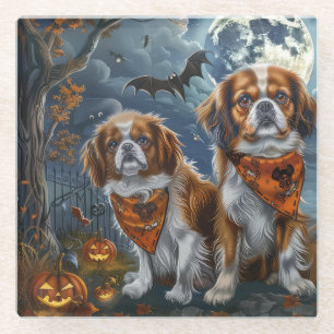 Tibetan Spaniel Halloween Spooky Glass Coaster