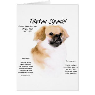 Tibetan Spaniel History Design