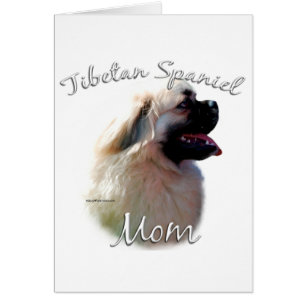 Tibetan Spaniel Mom 2