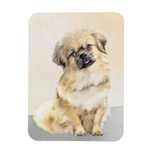 Tibetan Spaniel Painting - Cute Original Dog Art Magnet