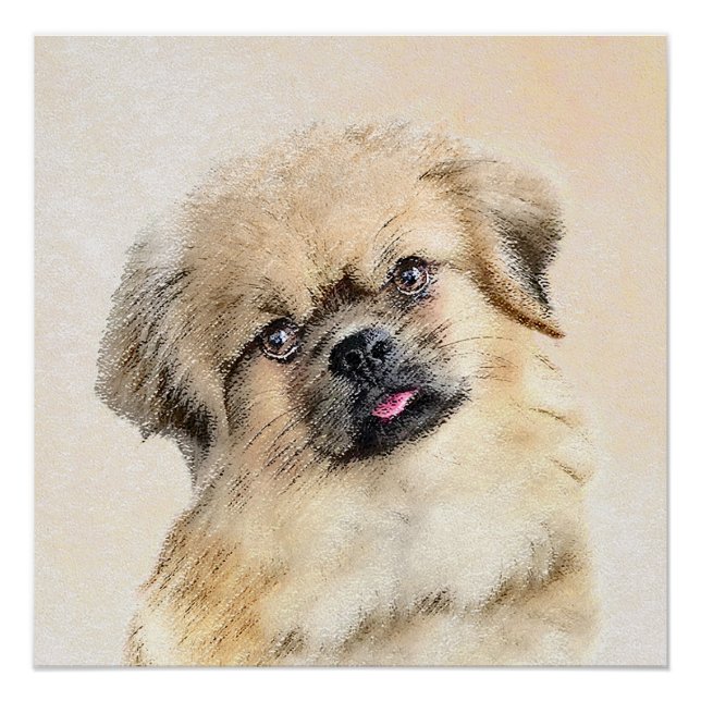 Tibetan Spaniel Painting - Cute Original Dog Art Poster (Front)