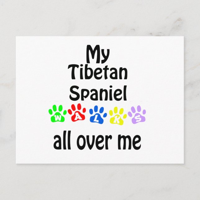 Tibetan Spaniel Walks Design Postcard (Front)