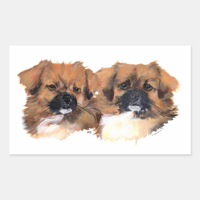 Tibetan Spaniels Head Study Sticker (Front)