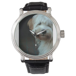 tibetan terrier 2 watch