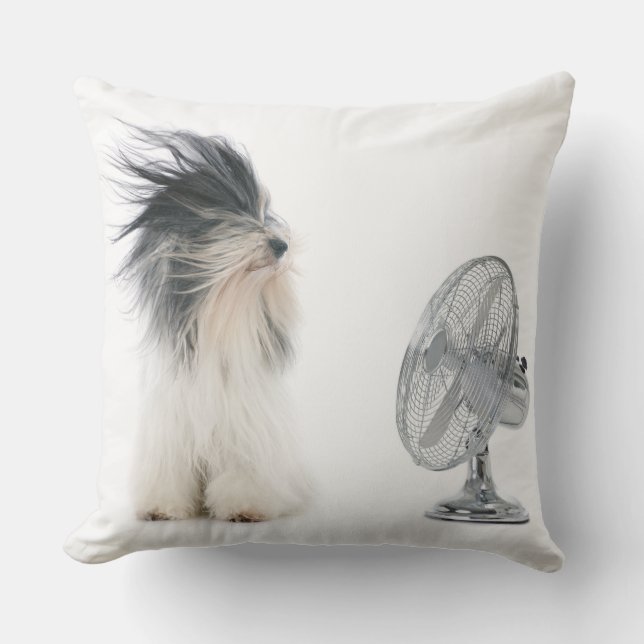 Tibetan terrier and his fan throw pillow (Front)