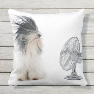 Tibetan terrier and his fan throw pillow