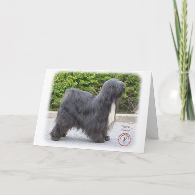 Tibetan Terrier Card (Front)