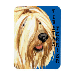 Tibetan Terrier Color Block Magnet