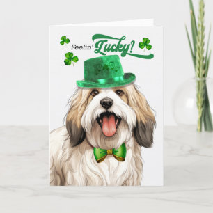 Tibetan Terrier Dog Feelin' Lucky St Patrick's Day Holiday Card