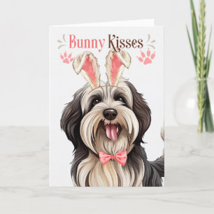 Tibetan Terrier Dog in Bunny Ears for Easter Holiday Card