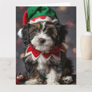 Tibetan Terrier Elf Puppy Christmas Card