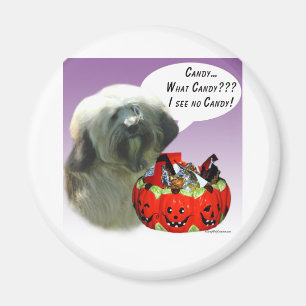 Tibetan Terrier Halloween Candy Magnet