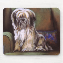 Tibetan Terrier