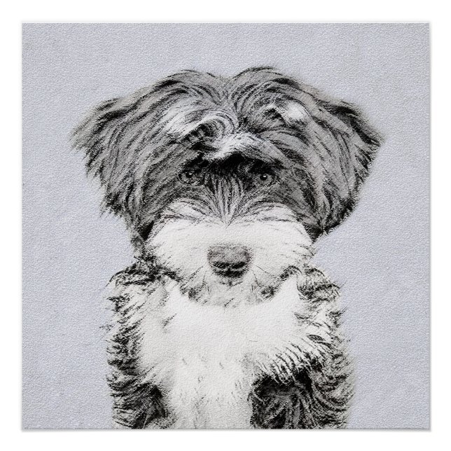 Tibetan Terrier Painting - Cute Original Dog Art Poster (Front)