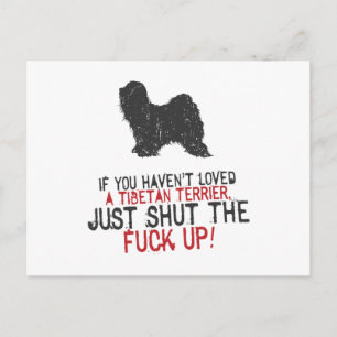 Tibetan Terrier Postcard