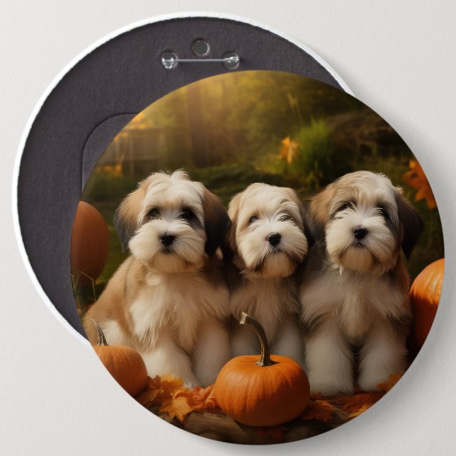 Tibetan Terrier Puppy Autumn Delight Pumpkin 6 Inch Round Button (Front & Back)