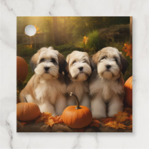 Tibetan Terrier Puppy Autumn Delight Pumpkin Favour Tags