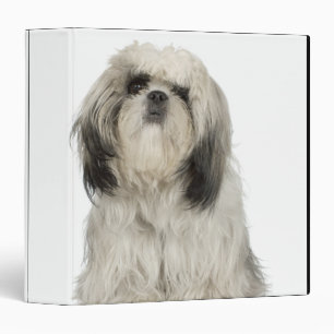Tibetan Terrier Puppy Binder
