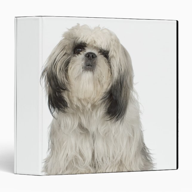 Tibetan Terrier Puppy Binder (Front/Spine)