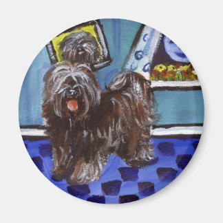 Tibetan terrier senses smiing moon magnet