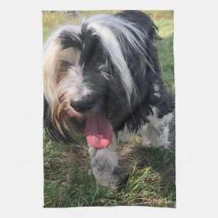 Tibetan Terrier Tea Towel