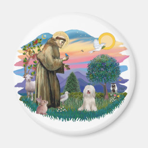 Tibetan Terrier (white) Magnet
