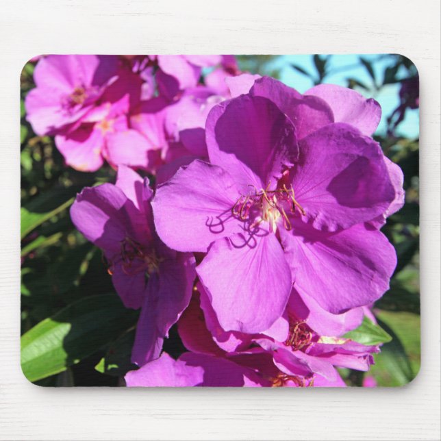 Tibouchina flowers mouse pad (Front)