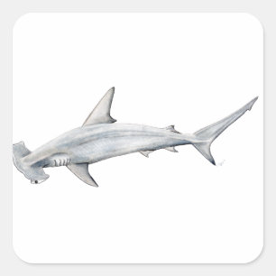 Tiburon martillo - Hammer head shark Square Sticker