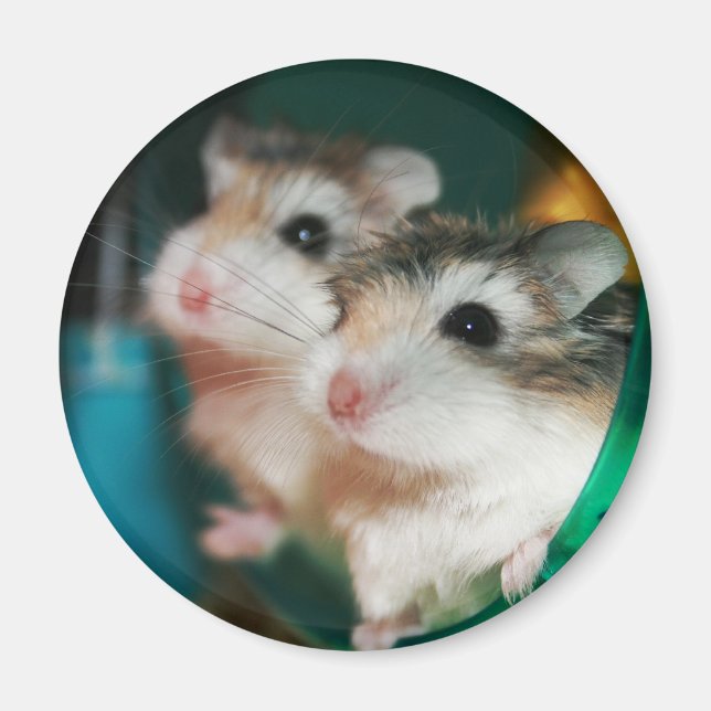 Tic and Tac - Magnet (Front)