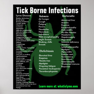Tick Borne Infections Symptômes Poster éducatif