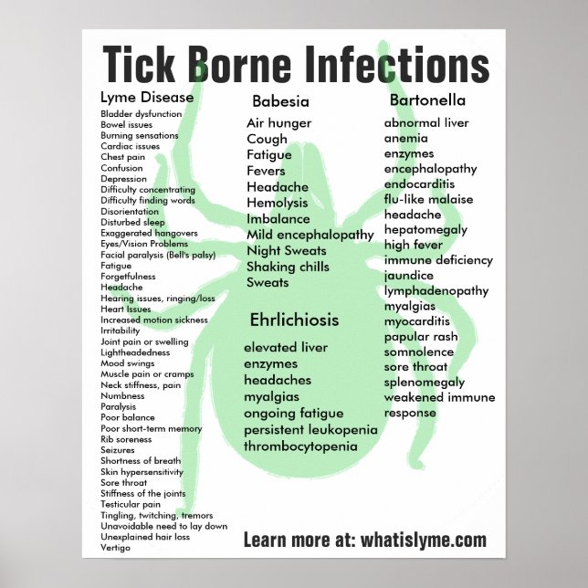 Tick Borne Infections Symptoms Educational Poster (Front)