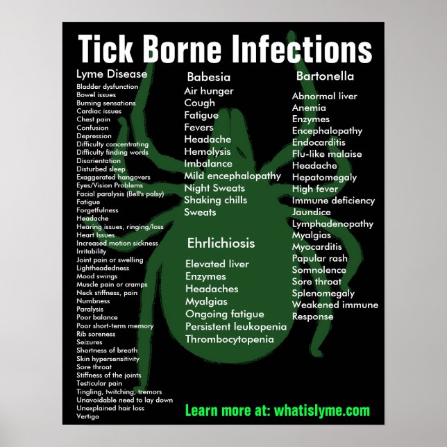 Tick Borne Infections Symptoms Educational Poster (Front)
