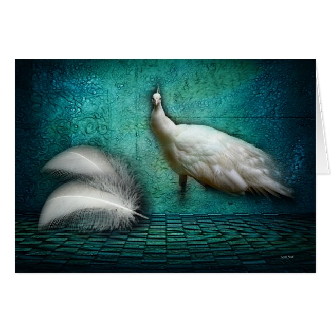 Tickle My Fancy (Front Horizontal)