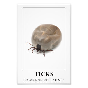 Ticks Because Nature Hates Us – Parasite Fun Photo Print