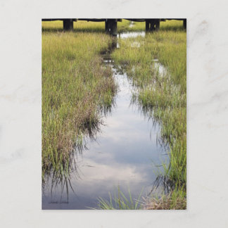 Tidal Creek Postcard