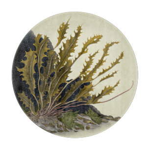 Tidal Fronds Cutting Board