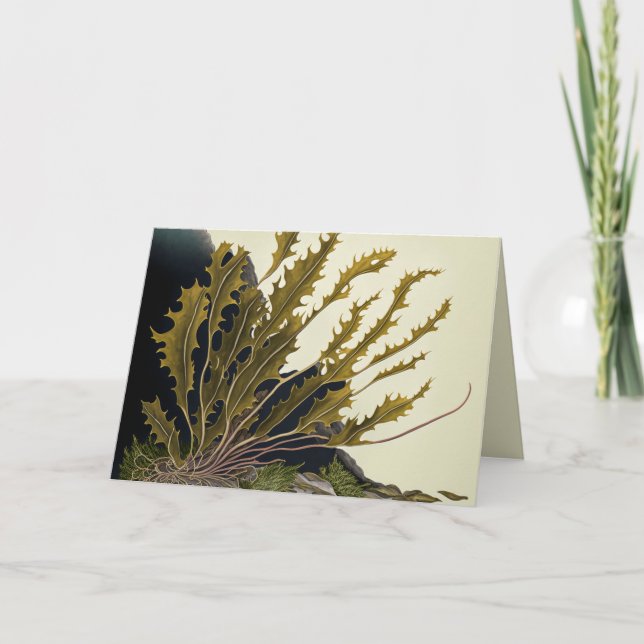 Tidal Fronds Invitation (Front)