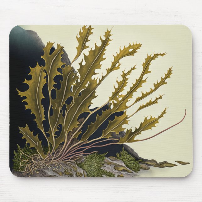 Tidal Fronds Mouse Pad (Front)