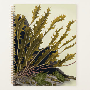 Tidal Fronds Planner