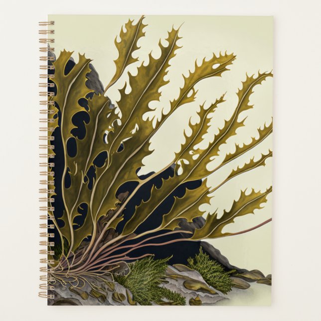 Tidal Fronds Planner (Front)