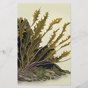 Tidal Fronds Stationery