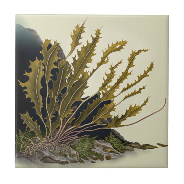 Tidal Fronds Tile (Front)