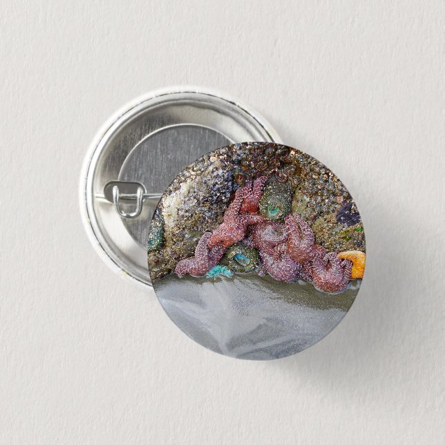 Tidal Pool, Ruby Beach, Olympic National Park 1 Inch Round Button (Front & Back)