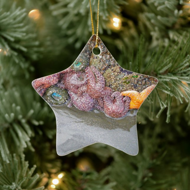 Tidal Pool, Ruby Beach, Olympic National Park Ceramic Ornament (Tree)