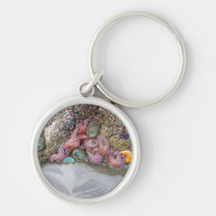 Tidal Pool, Ruby Beach, Olympic National Park Keychain