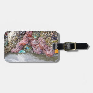 Tidal Pool, Ruby Beach, Olympic National Park Luggage Tag