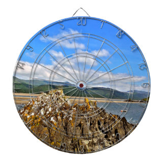 TIDAL RIVER DARTBOARD