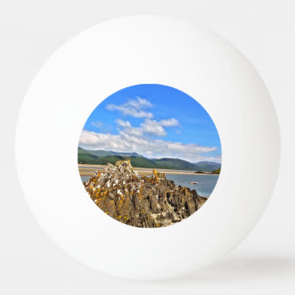 TIDAL RIVER PING PONG BALL